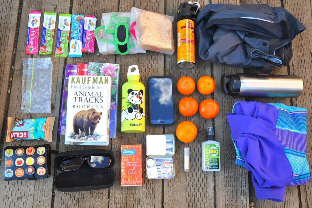How to pack for a day hike & grab this packing checklist! ⋆ Take 