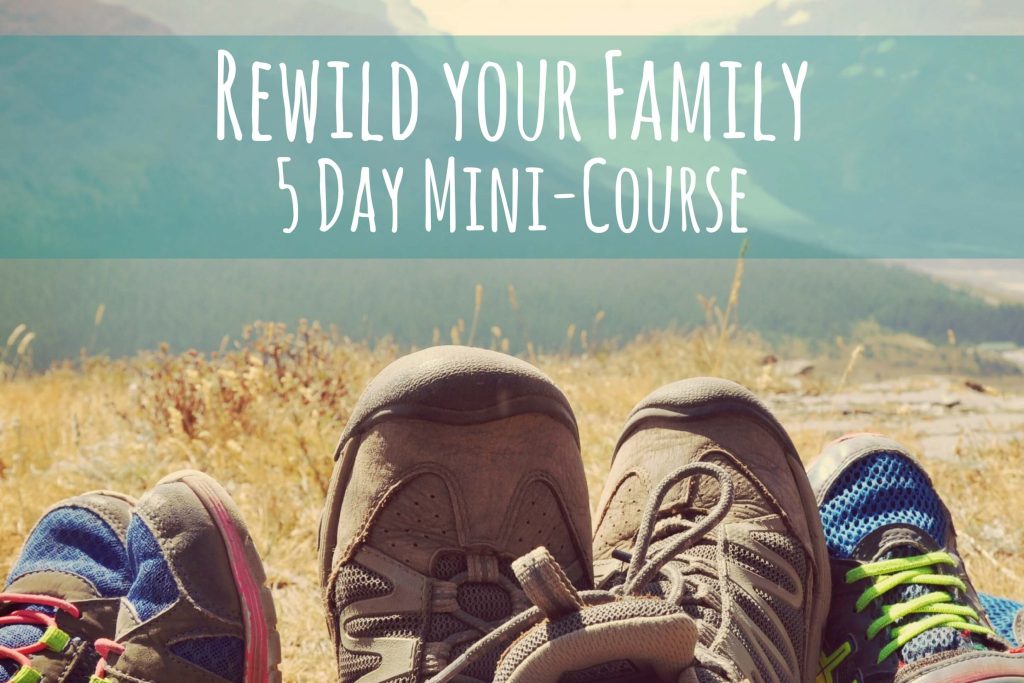 People's feet stretched out on the grass and in the distance a wide mountainscape. Text reads: rewild your family, 5 day mini-course