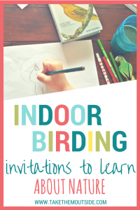 Invite learning with an indoor birdwatching sit spot for your kids | #natureactivities #birdwatching #kidsactivities #birds