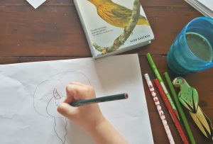 how to set up an indoor bird watching station to encourage nature exploration 