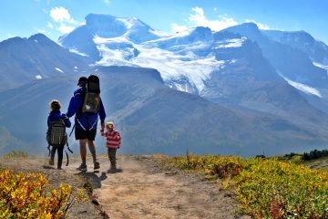 dad and kids hiking with glaciers and mountains in the distance at wilcox pass in Jasper