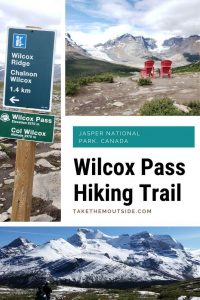 images of wilcox pass hiking trail