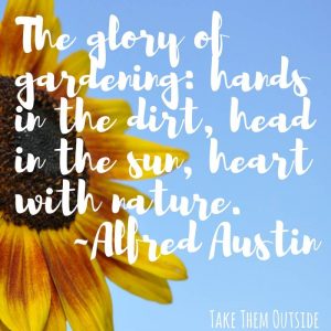 close up of a sunflower sitting against a blue sky. text overlay is a quote by Alfred Austin starting with the Glory of Gardining...