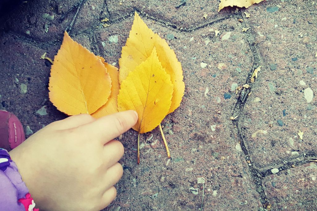 small hands pointing to yellow fallen leaves on a brick sidewalk... helping kids connect with nature in the city.