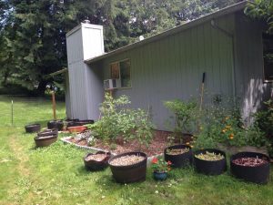 Against the side of a house is a small garden plot ready to be planted... a story about gardening and wellbeing