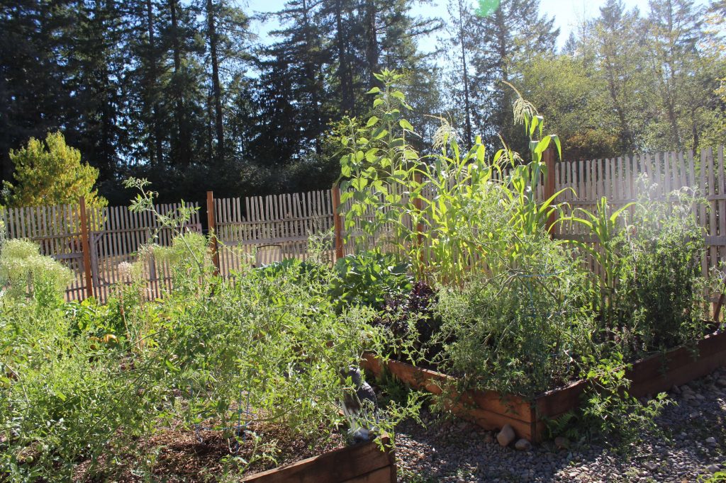 Large contained gardens with an abundance of greenery