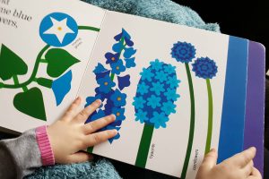 toddler hands holding open a colorful children's book about flowers. This is one of the recommended kids books about spring.
