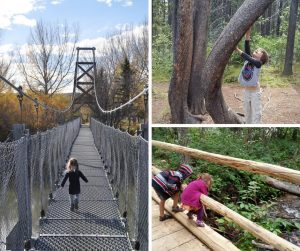 A collage of kids outdoors, crossing a bridge, investigating a creek, and reaching up a tree