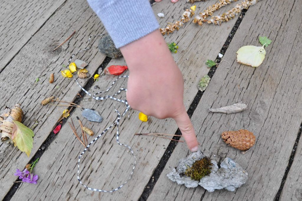 A child's finger pointing to nature scavenger hunt treasures like rocks, leaves, twigs, and flower petals