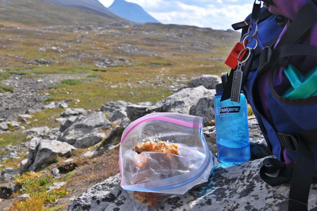 a bag of muffins and water bottle sitting on some rocks on a mountain hiking trail