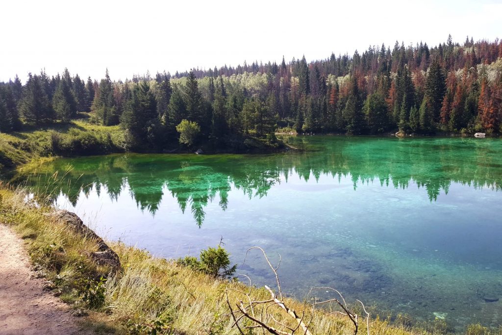 A turquoise lake bordered by trees and grasses