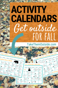 image of fall monthly activity calendars on a background of autumn leaves