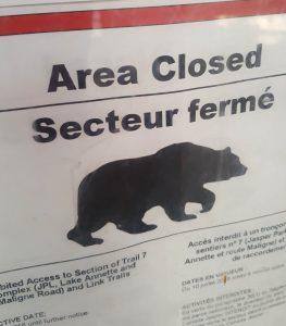 photo of a bear closure warning