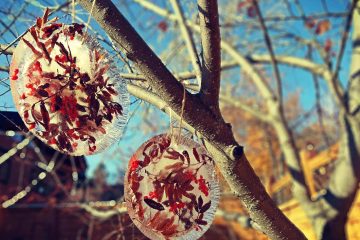 ice sun catchers with berries and leaves hanging from a tree