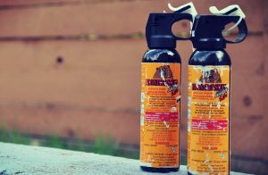 2 cans of bear spray sitting outdoors