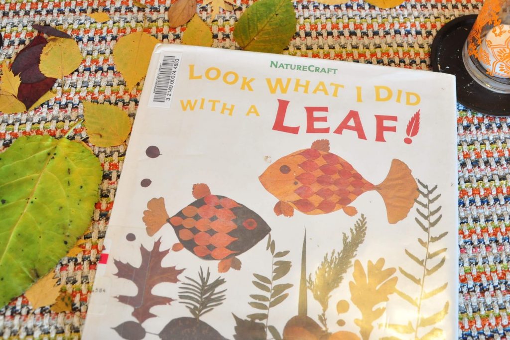 The book, look what I did with a leaf! sitting on a table surrounded by dried leaves