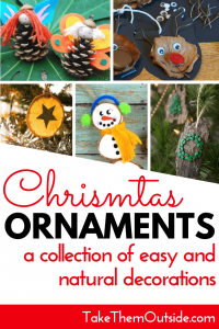 A collage of natural Christmas ornaments made form pine cones, bark, and oranges