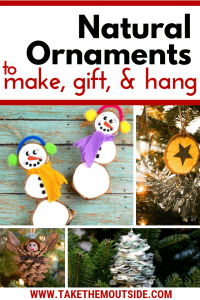 A collection of natural ornaments to hang on your chrismtas tree