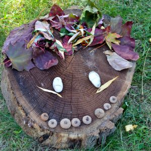 making faces out of nature like leaves, rocks, and twigs