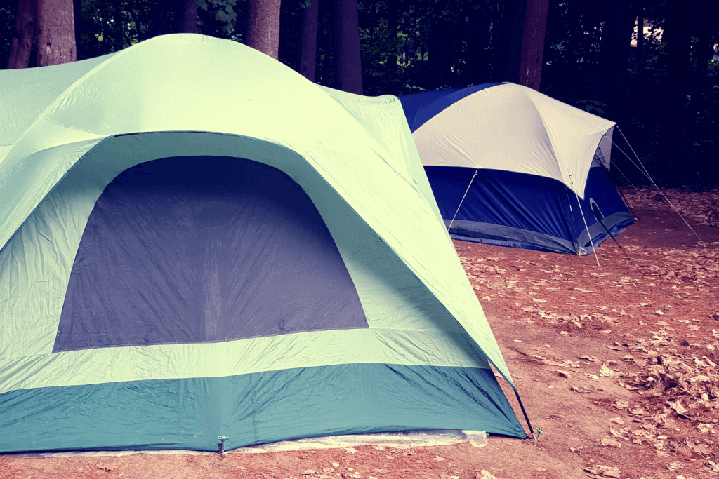 Two dome tents set up in a wooded area