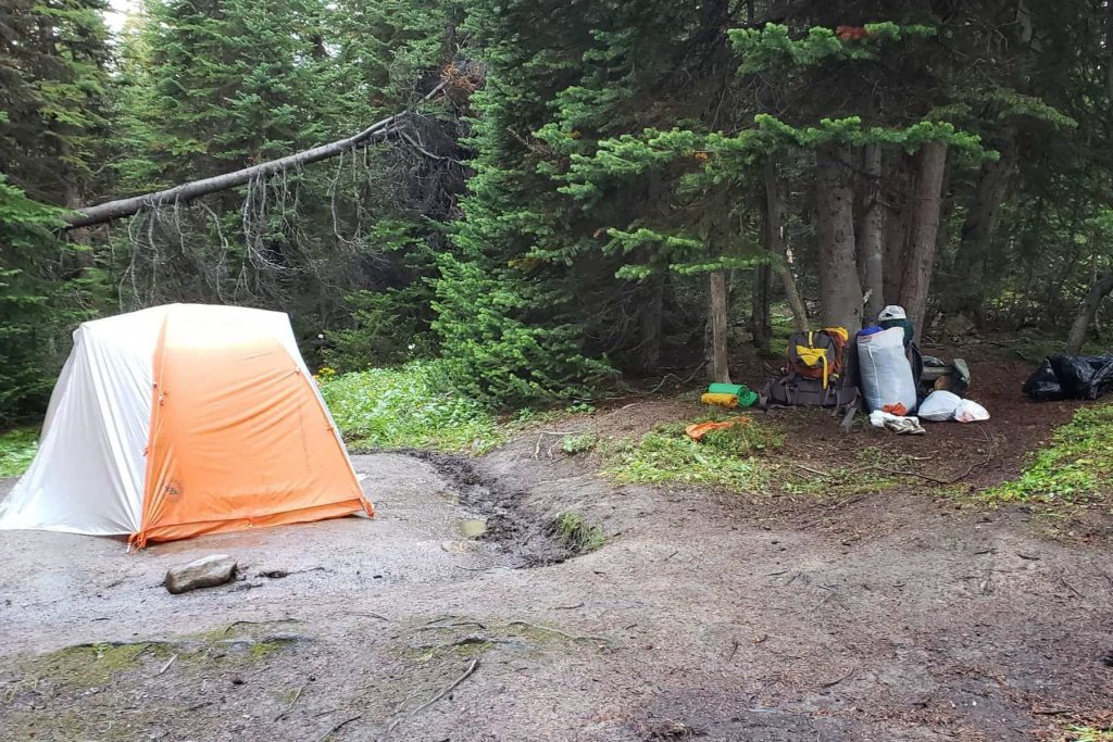 A wet tent and gear sitting to dry under the shelter of trees