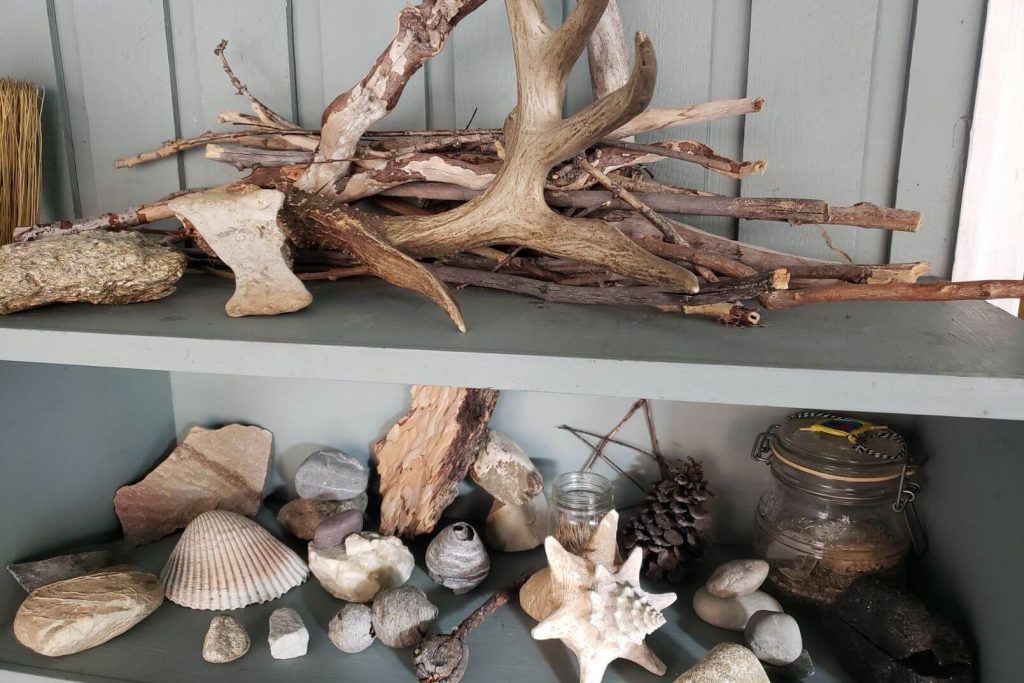 displaying nature inside on this treasure shelf full of rocks, shells, and sticks