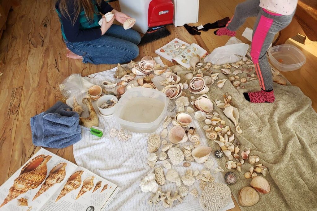 kids investigating sea shells as a way to play with nature inside
