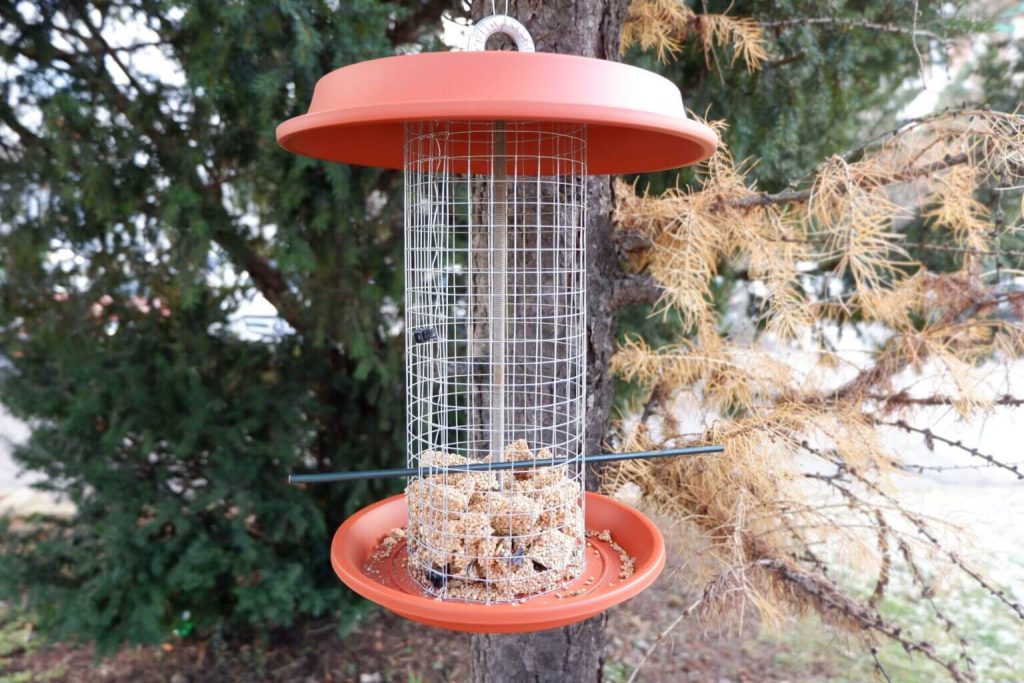 a DIY wire mesh and pot saucer bird feeder hanging in a tree