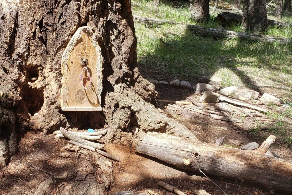a wooden fairy door on a large tree trunk