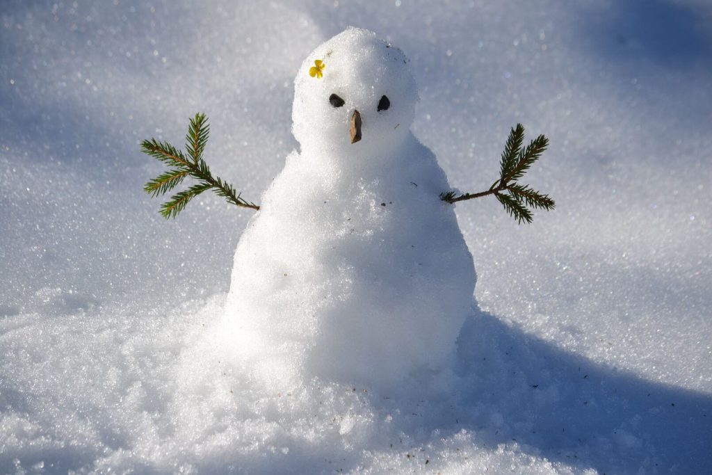 a small snowman with twig nose and arms