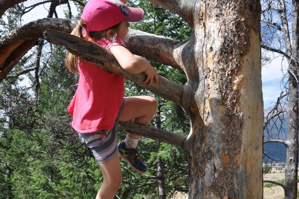 girl wearing a pink hat and shirt climbing a tree