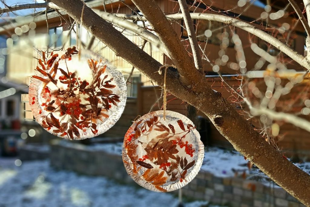 Ice ornaments with leaves and berries hanging from tree branches