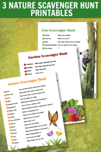 32 Outdoor and backyard scavenger hunts ⋆ Take Them Outside